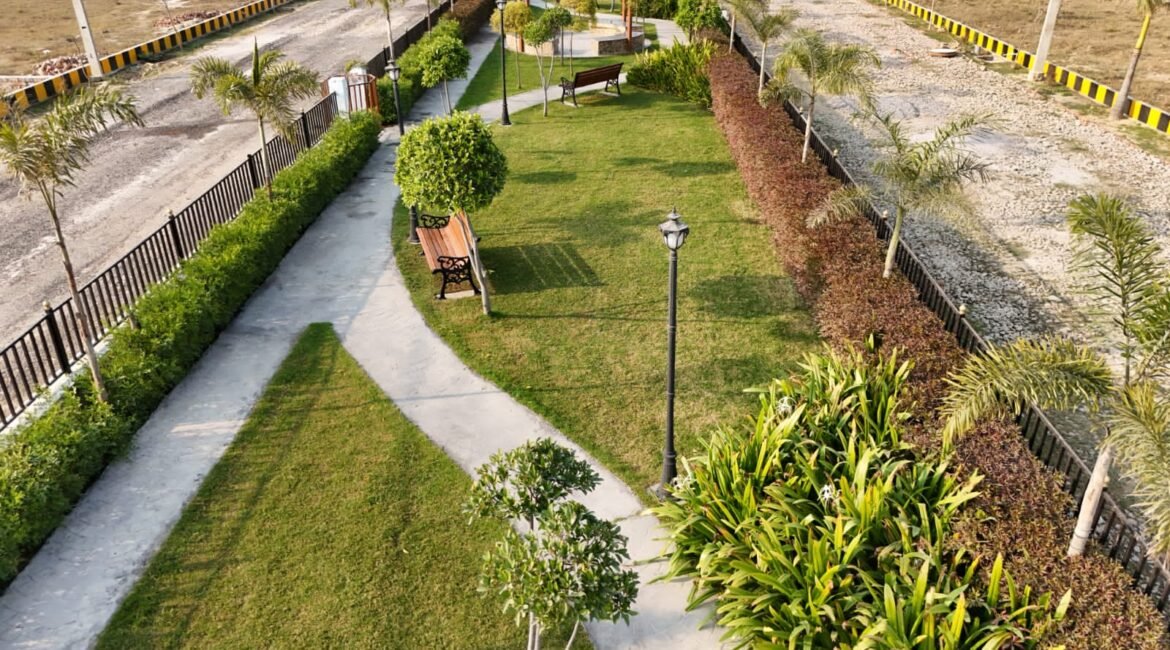 Plot 1