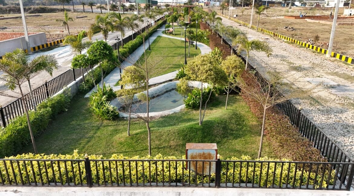 Plot 1